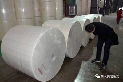 華東首條寬幅長絲聚酯胎生產線落戶&ldquo;布實&rdquo;